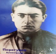 Перегудов Александр  Яковлевич