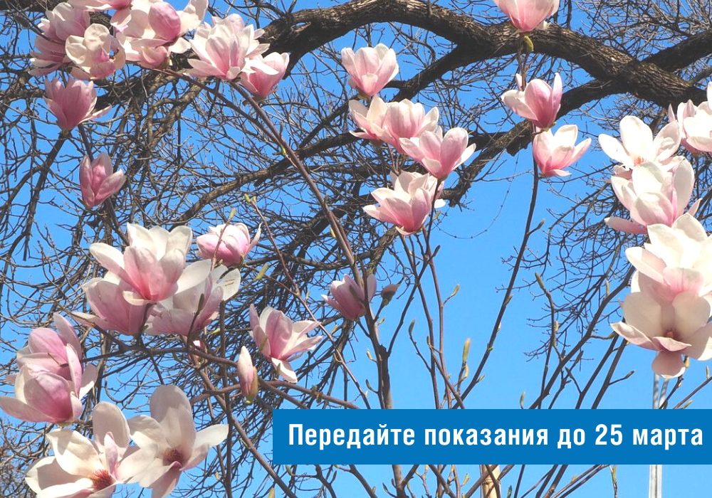 Напоминание потребителям газа