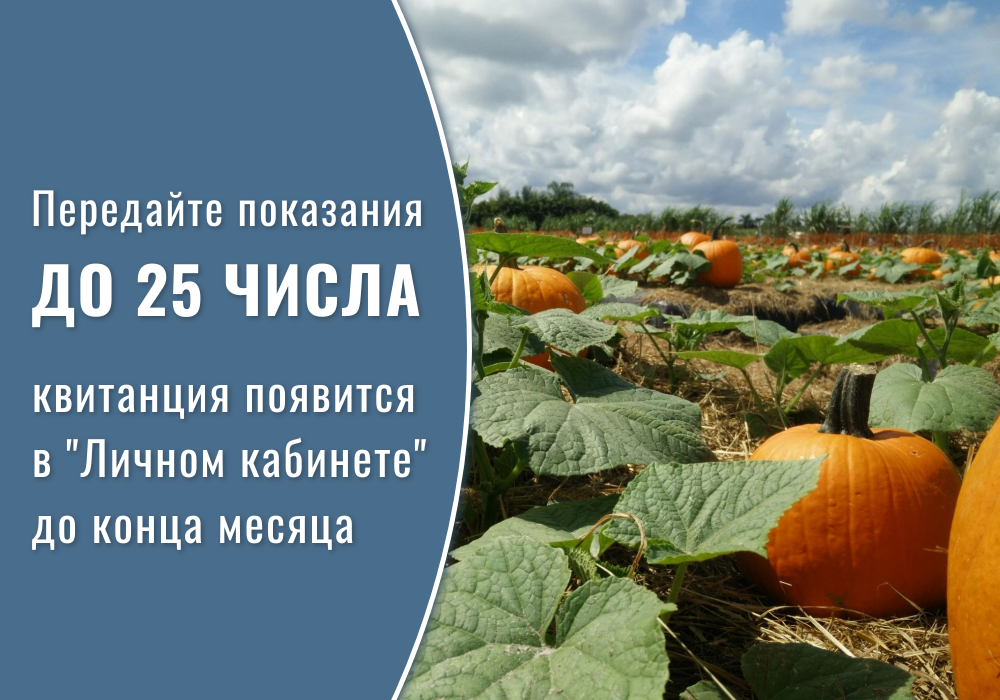 Уважаемые абоненты!