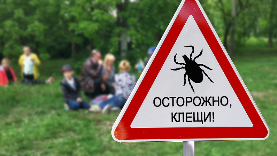 Осторожно! Клещи!